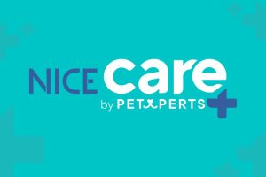 Nice Care: la nueva línea de higiene para perros y gatos