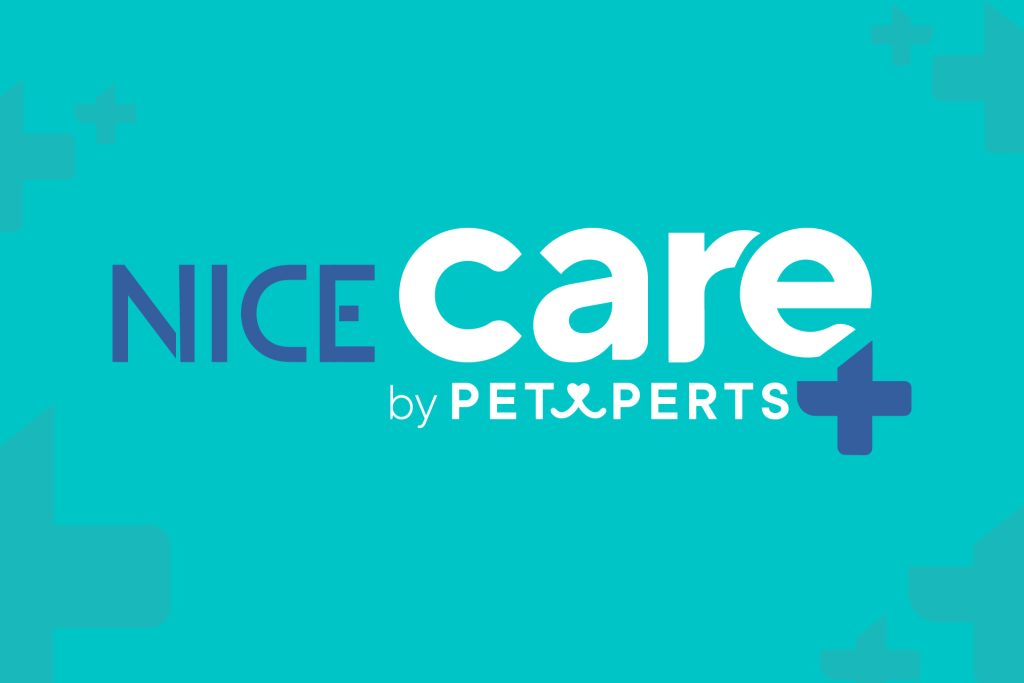 Nice Care: la nueva línea de higiene para perros y gatos