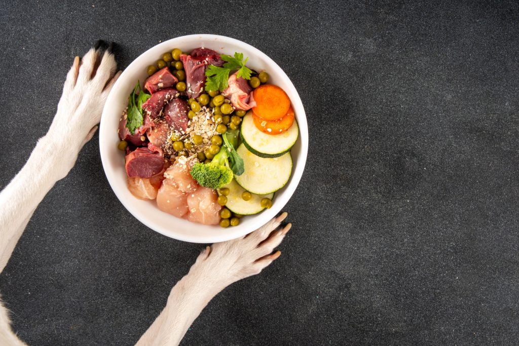 Alimentación natural: una alternativa saludable para tu mascota